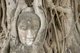 Thailand: Buddha head entwined by the roots of a bodhi tree, Wat Phra Mahathat, Ayutthaya Historical Park